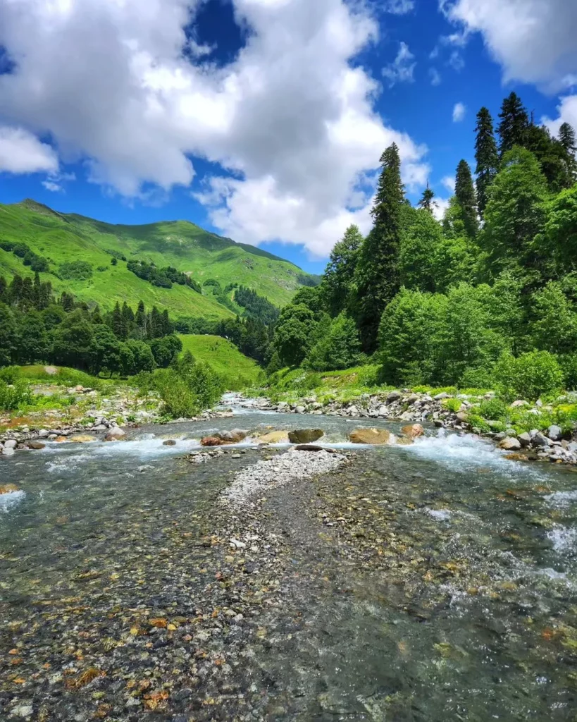 Альпийские луга