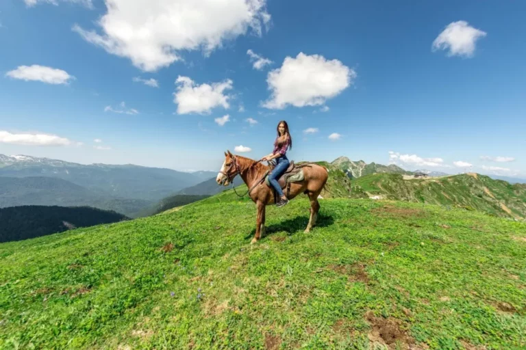 Конные прогулки в Сочи